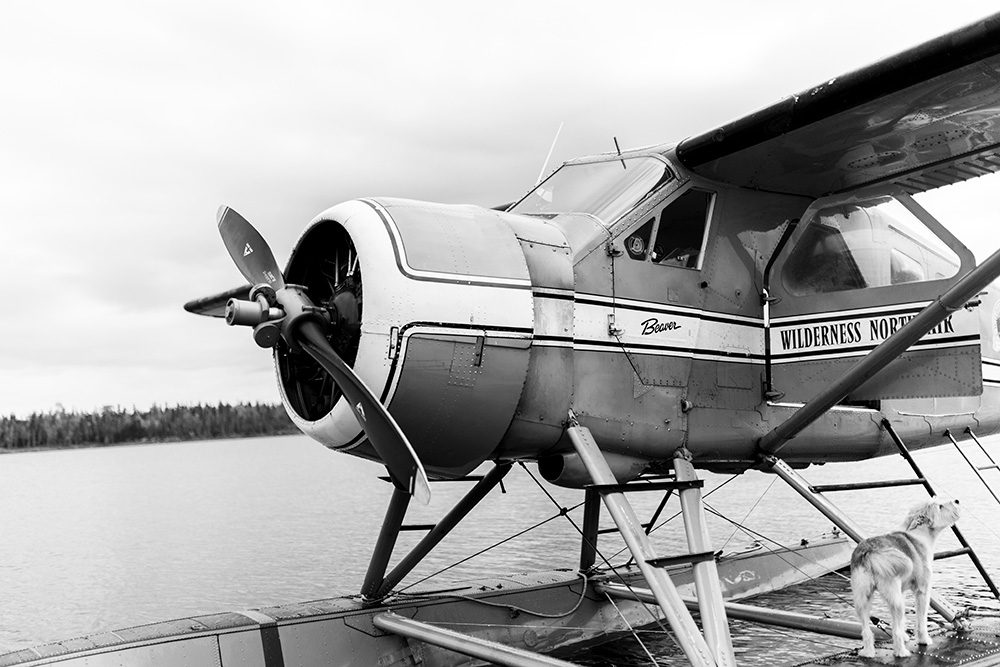 Black and white photo of Wilderness North floatplane on water with dog standing on dock and forest in background