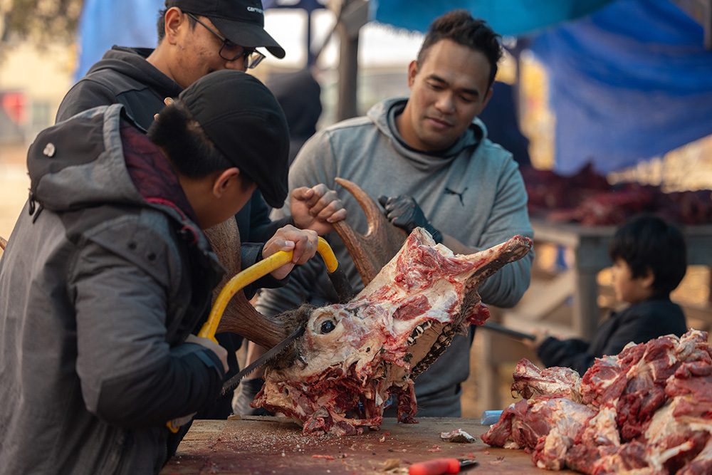 Community members working together to process a moose during the Moose Festival