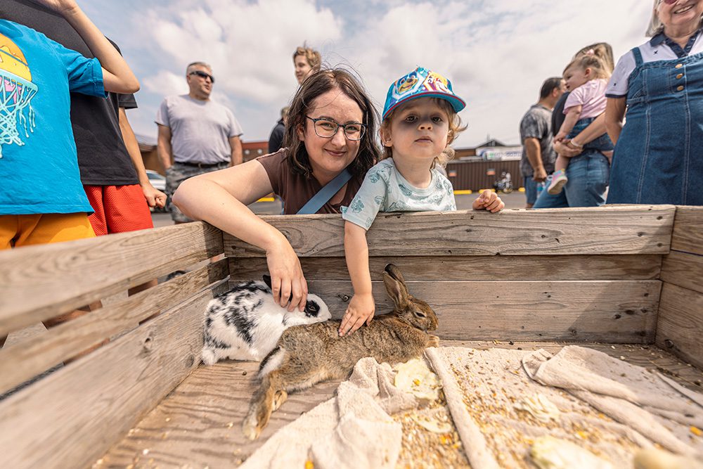 Mother and toddler petting rabbits at festival petting zoo enclosure